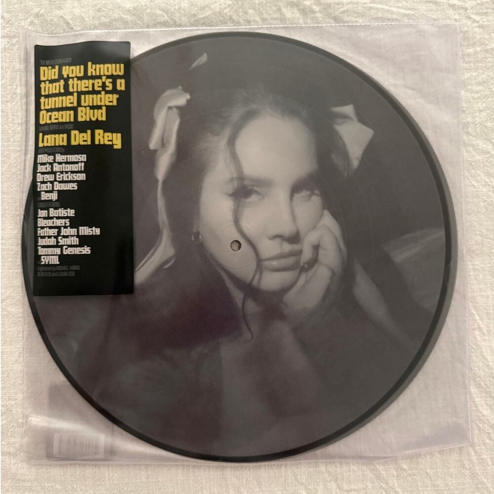 Lana Del Rey NWT | Did you know that there's a tunnel Ocean picture disc vinyl